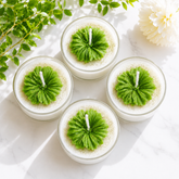 Hibiscus T-Light Urli Candle