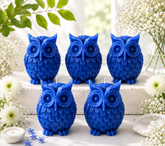 Owl candle /Owl Spiritual Candle
