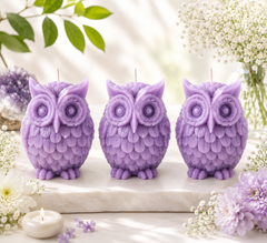 Owl candle /Owl Spiritual Candle